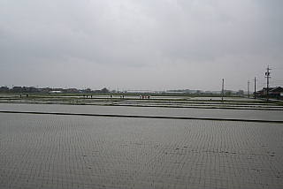 広角