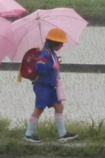 望遠等倍