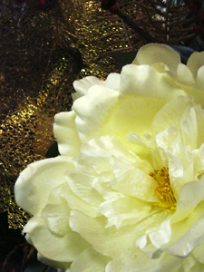クリスマス・お正月にぴったりの花