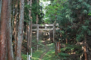 滝神社2