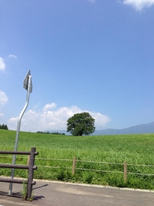 畠山さゆり