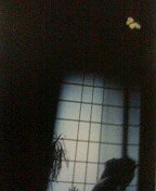 20060601_20074.jpg