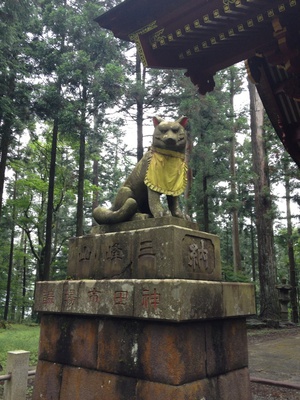 オオカミ 三峯神社