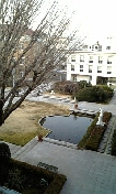 tsuda
