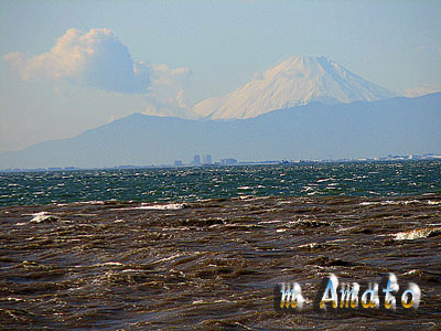 厭離穢土・・・欣求浄土・・汚濁の海