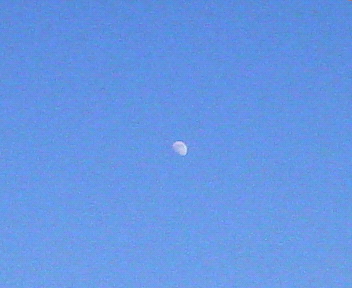 20061230_263717.jpg