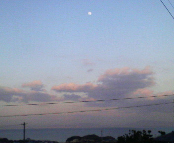 20070201_275466.jpg