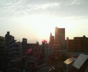 20070202_275780.jpg