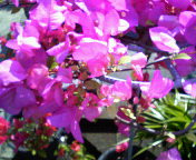 20070320_292453.jpg