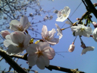 20070330_295675.jpg