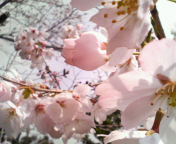 20070330_295676.jpg