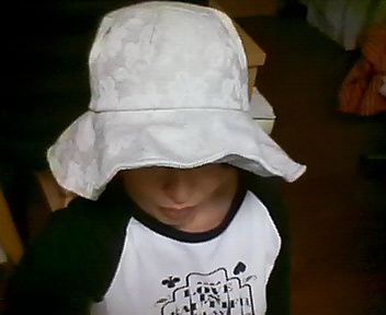 200905172157000.jpg