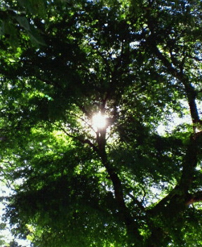 2010101004420000.jpg