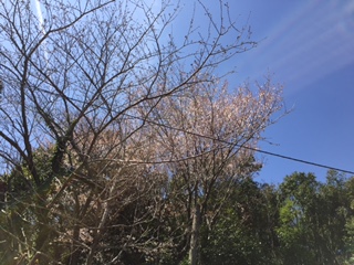 image1.JPG