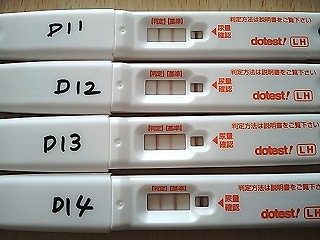 初めての排卵日検査薬 日々冷えとり