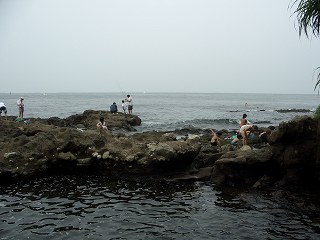 20050730 猿島 裏側