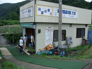 20050812 ブルーベリー