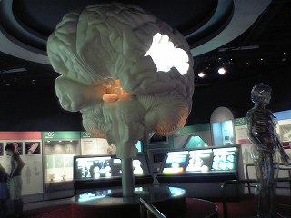 20050813 上越科学館 脳髄