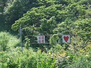 20050828 皿投げ気晴らし台 マト