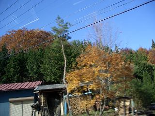 20051112 紅葉