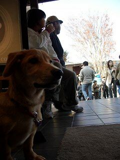 20051113 北斎館 犬
