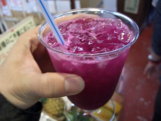 20051210 熱帯フルーツ園 ドラゴンフルーツ