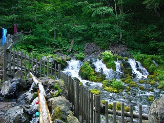 20060722 ふきだし公園 水