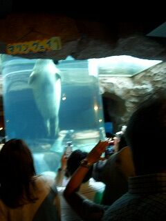 20060724 旭山動物園 マリン