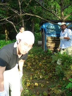 20060917 栗拾い