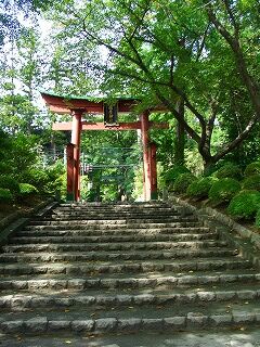 20060918 弥彦神社 鳥居