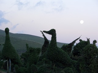 20061006 阿蘇山 謎のオブジェ1