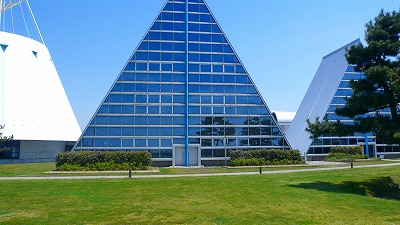 20070430 埋没林博物館 外観
