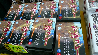 20070430 ほたるいかミュージアム 新海カレー