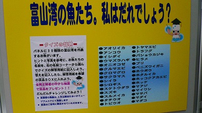 20070430 ほたるいかミュージアム クイズ