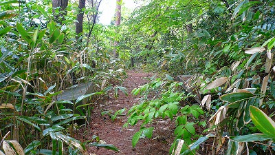 20070501 モーゼパーク 浮船