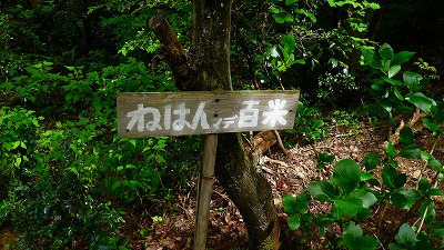 20070501 ハニベ岩窟院 涅槃