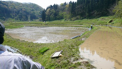 20070503 田植え