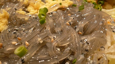 20070530 とびっちょ 生しらす丼2