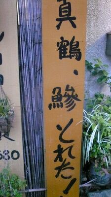 20070708 山姥 アジ取れた!