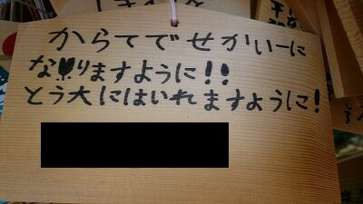 20070602 富士山本宮浅間大社 絵馬