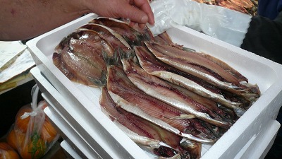 20070602 干物工場