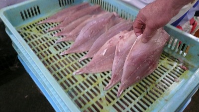 20070602 干物工場 切り分け