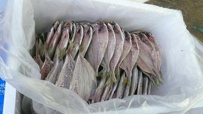 20070602 干物工場 冷凍乾燥