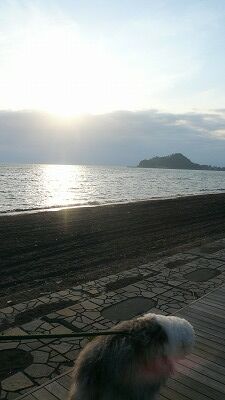 20070602 ハナちゃん 夕日