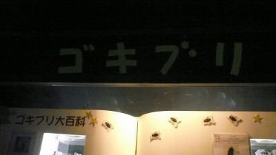 20071028 多摩動物公園 ゴキブリ