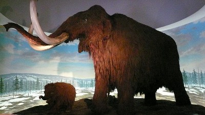 20080114 ありあんす マンモス