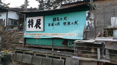 20080121 北群馬渋川郷土館 犬と陶器