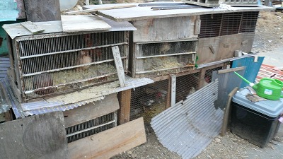 20080121 北群馬渋川郷土館 犬小屋