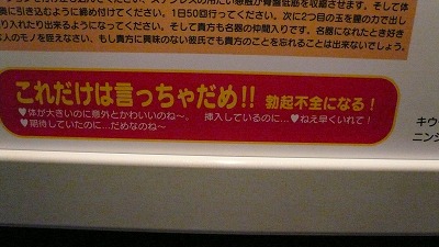 20080121 命と性のミュージアム 階段