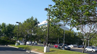 20080513 SF Yahoo